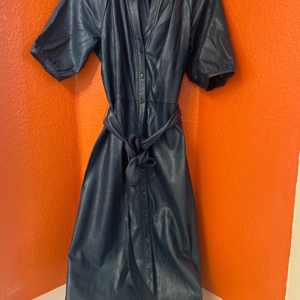 Ann Taylor Leather Dress
